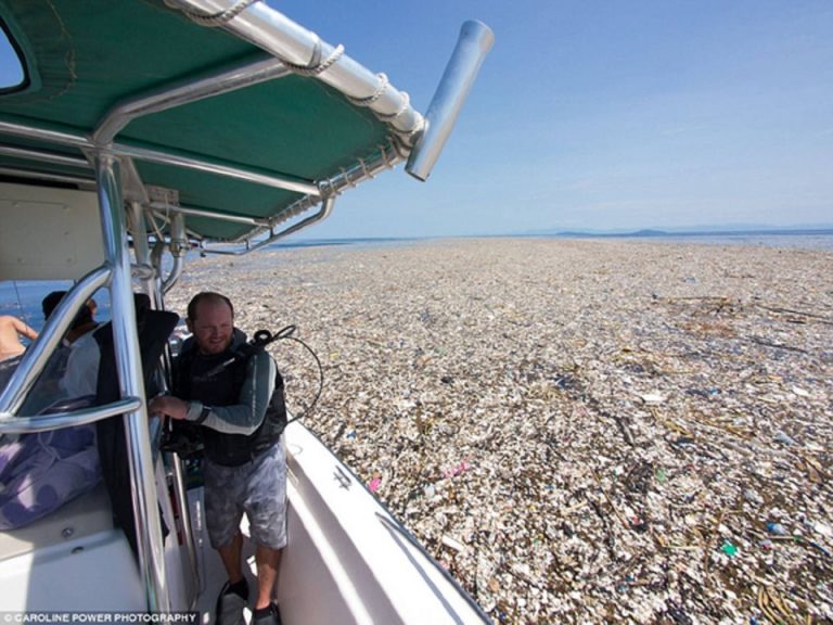 Lautan Plastik: Kalau Sudah Begini, Peran Apa yang Akan Anda Mainkan ?