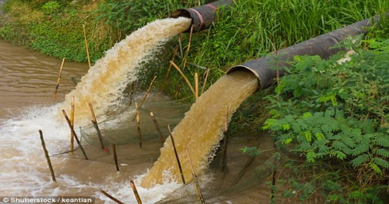 Pentingnya Pengolahan Air Limbah Bagi Kesehatan Manusia dan Satwa Liar