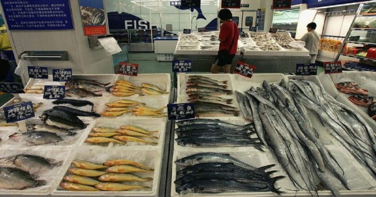 Tenaga Buruh Korea Utara Digunakan untuk Mengolah Ikan yang Dijual di AS