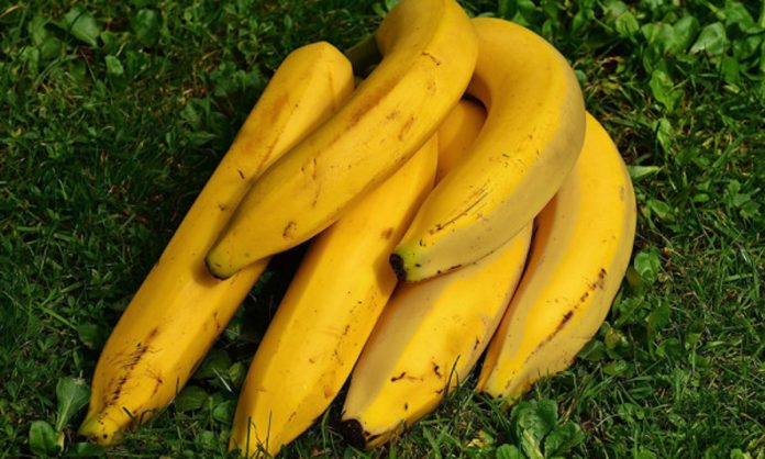 manfaat makan pisang bagi kesehatan