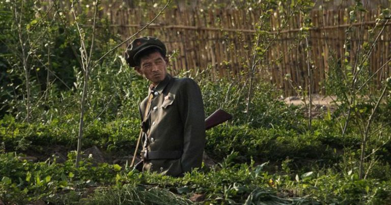 Tentara Korea Utara Menjarah Hasil Pertanian Setelah Jatah Makanan Dipangkas