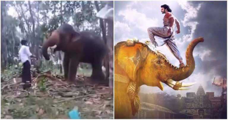 Nekat Beraksi dengan Gajah Seperti di Adegan Film Ini, Remaja India Dilempar Gajah