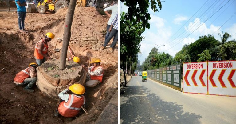 Luar Biasa! Cara Warga di Kota Ini Menyelamatkan Ratusan Pohon yang Digusur untuk Proyek Kereta Api