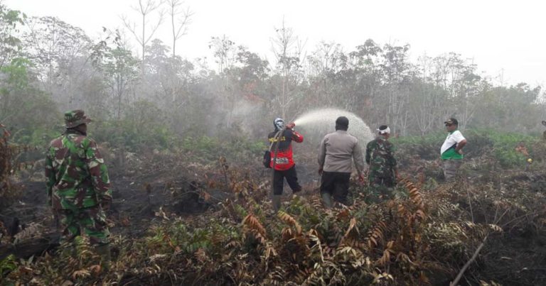 843 Hektare Lahan Terbakar di Riau, Pemadaman Kebakaran Lahan Terus Dilakukan