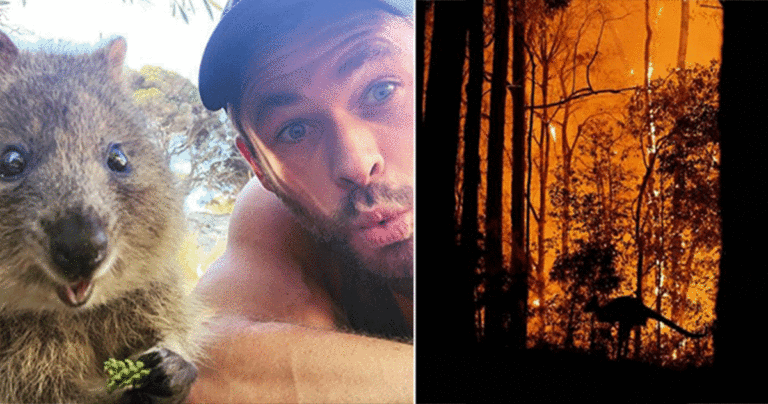 Superhero dalam Kehidupan Nyata : Aktor Chris Hemsworth ‘Bertarung’ dalam Kebakaran Hutan di Australia