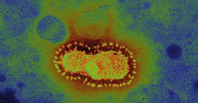 Satu Orang WNI, Positif Terinfeksi Coronavirus