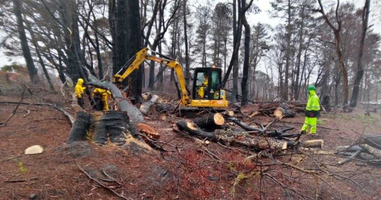 Jokowi Mendapat Apresiasi Terkait Kontribusi Indonesia dalam Memerangi Kebakaran Hutan di Australia