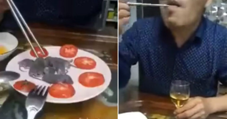 Mereka Merekam Seorang Pria Mencelupkan Anak Tikus ke dalam Saus Sebelum Menelannya Hidup-hidup