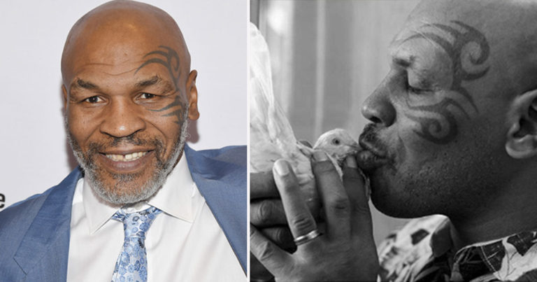 Mike Tyson Mengaku Merobohkan Tukang Sampah Atas Perlakuan Terhadap Merpatinya yang Mati