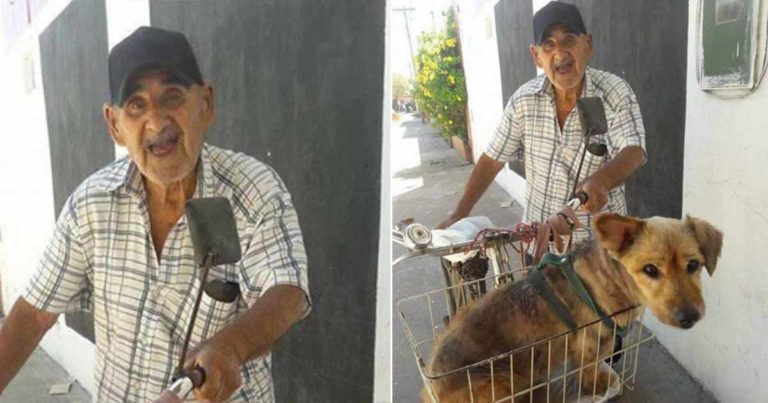 Kakek Berusia 90 Tahun dengan Sisa-sisa Tenaganya Mengayuh Sepedanya untuk Membawa Anjing Tuanya ke Dokter Hewan