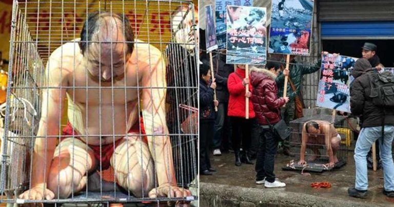 Aktivis Mengurung Dirinya dalam Kandang di Depan Rumah Jagal Anjing untuk Merasakan Rasa Sakitnya dan Menuntut Penutupan