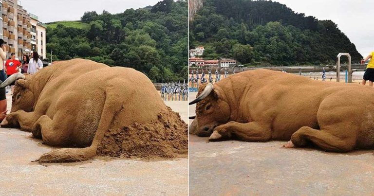 Banteng yang Ambruk di Tanah yang Penuh dengan Penderitaan dan Rasa Sakit Ini Adalah Refleksi Atas Penderitaan Hewan oleh Manusia