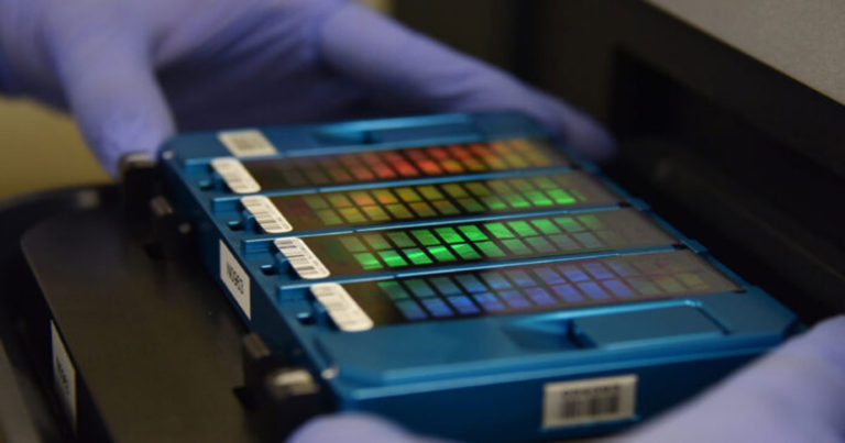 Beijing Bangun Basis Data DNA, Sebuah Pelanggaran Hak Asasi Manusia