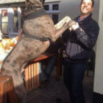Great Dane Ini Adalah Anjing Tertinggi di Dunia 4