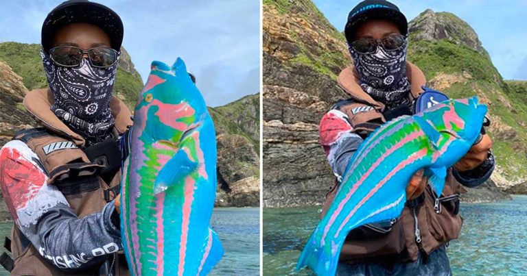 Ikan Berwarna Mencolok Ini Sepertinya Milik ‘Avatar’