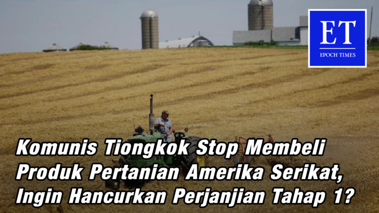 Ingin Hancurkan Perjanjian Tahap Pertama? Komunis Tiongkok Stop Membeli Produk Pertanian AS