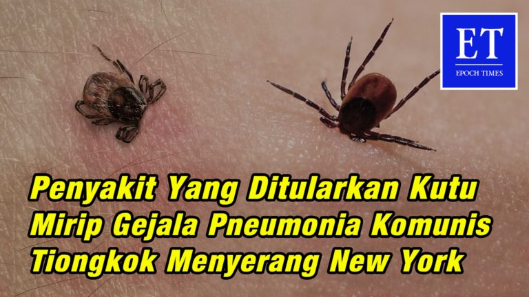Penyakit yang Ditularkan Kutu Mirip Gejala Corona Virus, Menyerang Negara Bagian New York