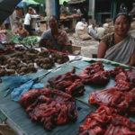 Daging Anjing Dilarang Setelah Gambar Mengerikan 2