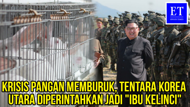 Krisis Pangan Memburuk, Tentara Korea Utara Diperintahkan Jadi “Ibu Kelinci”