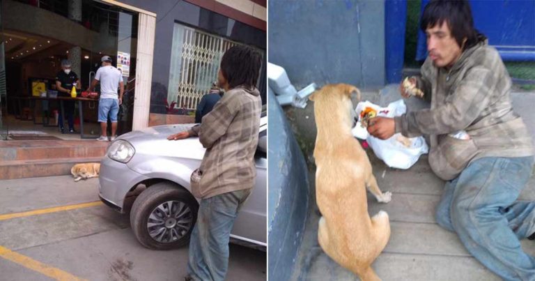 Mereka Merekam Seorang Pria Tunawisma yang Berbagi Makanan yang Dia Dapatkan dengan Anjingnya