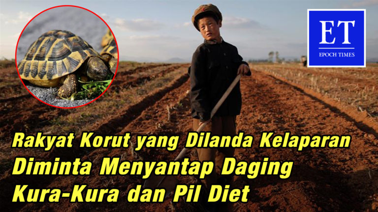 Rakyat Korut yang Dilanda Kelaparan Diminta Menyantap Daging Kura-Kura dan Pil Diet