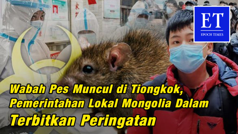 Wabah Pes Muncul di Tiongkok, Pemerintahan Lokal Mongolia Dalam Terbitkan Peringatan