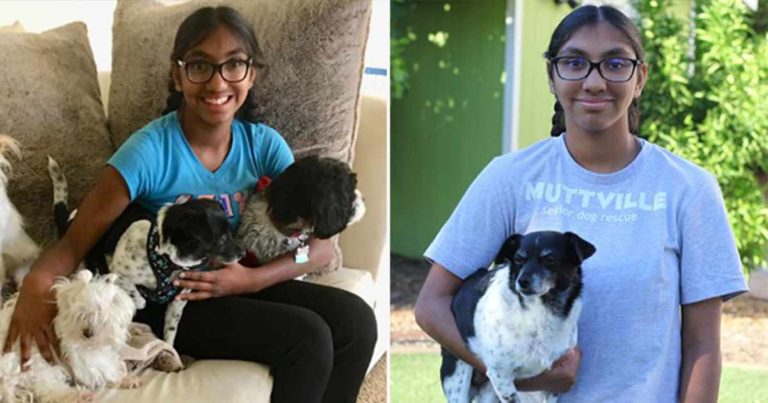 Remaja Berusia 14 Tahun yang Diadopsi Membantu Anjing Tua Menemukan Rumah Tercinta, Seperti yang Dia Alami