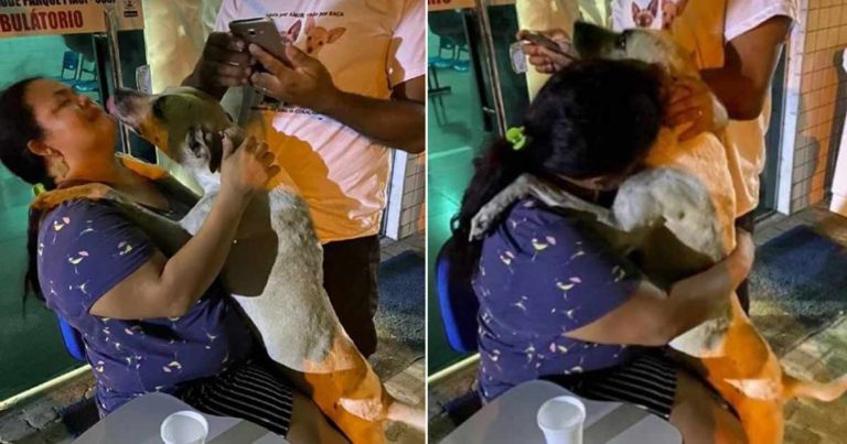 Anjing Liar Melompat ke Pelukan Seorang Wanita yang Berduka Atas Kematian Ibunya untuk Menghiburnya