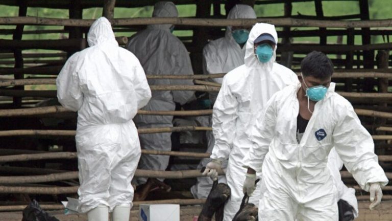 Tiongkok Kembali Diserang Penyakit Infeksi, Lebih dari 3.000 Orang di Lanzhou, Tiongkok, Positif Brucellosis