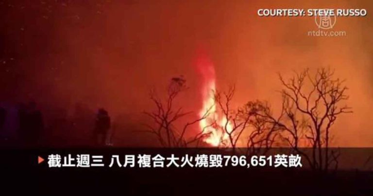 Perkebunan Ganja Terbesar di AS, Terancam Musnah oleh Kebakaran Hutan California