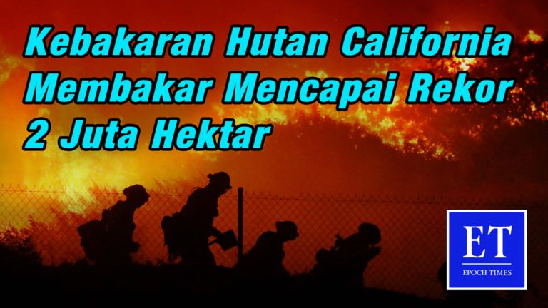 Kebakaran hutan California membakar mencapai rekor 2 juta hektar dalam cuaca panas dan berangin