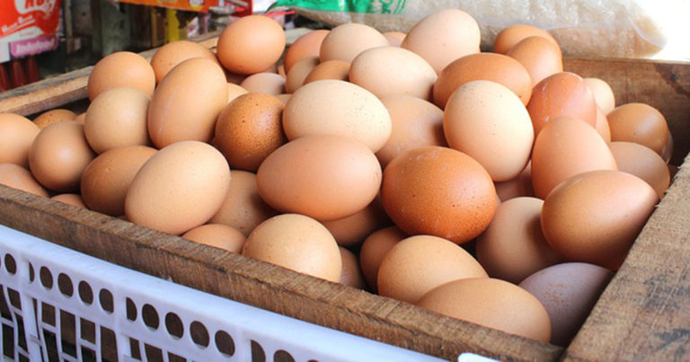 Kisah Seorang Penjual Telur yang Mengajarkan Realitas Kehidupan Masyarakat Kita