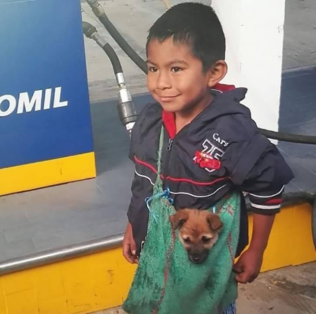 Mereka Menangkap Seorang Anak Laki-laki yang Membawa Anjingnya dengan