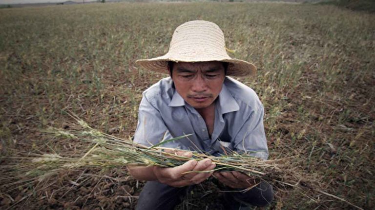 Partai Komunis Tiongkok Tetapkan Target Cadangan Pangan, di Kabupaten Miskin Shanxi, Hanya Mencapai Setengah dari Target yang Ditetapkan