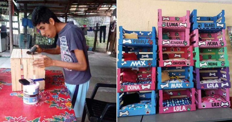 Pemuda Penyandang Disabilitas Ini Membuat Tempat Tidur untuk Hewan Peliharaan