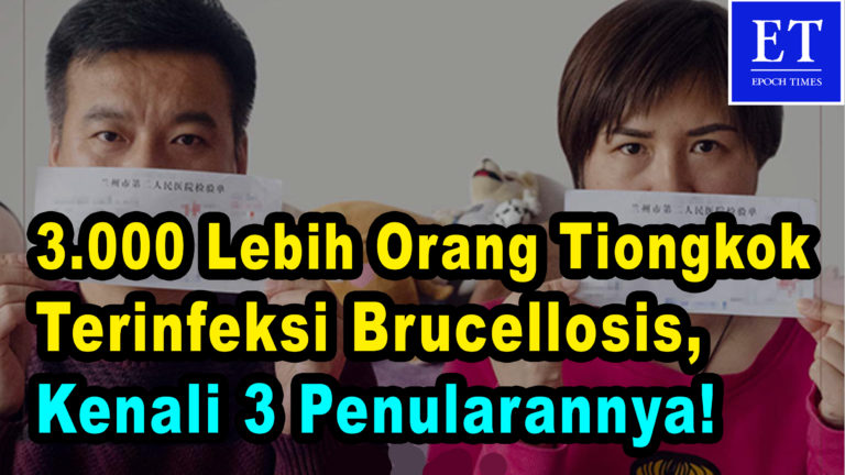 **Waspada** Lebih 3 000 Orang Tiongkok Terinfeksi Brucellosis, Kenali 3 Penularannya