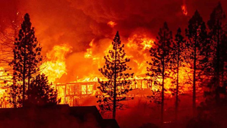Suhu Tinggi dan Angin Kencang, Memicu Kebakaran Hutan di California Sebuah Bencana yang Belum Pernah Terjadi Sebelumnya