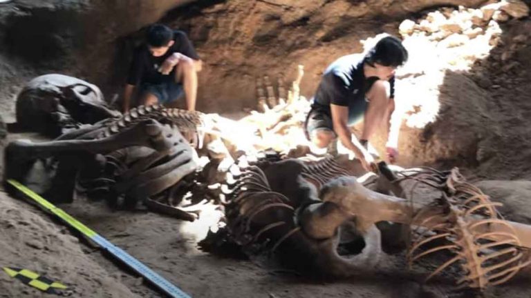 Ditemukan Kerangka Manusia Raksasa Setinggi 5 Meter, Lalu Mengapa Komunitas Arkeologi Tidak Berani Mempublikasikannya?
