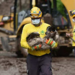 Penyelamat Melihat Anjing yang Putus Asa Mengendus Reruntuhan 7