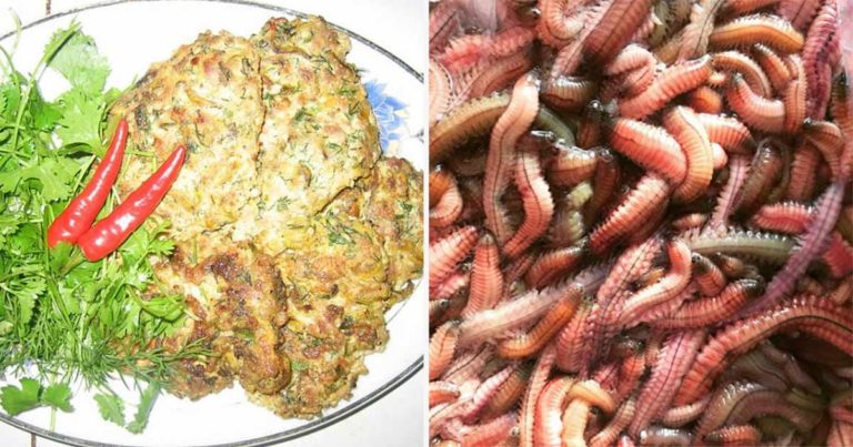 Chả Rươi : Telur Dadar Cacing yang Populer di Vietnam