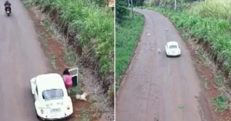 Anjing Berlari dengan Putus Asa Mengejar Mobil Pemiliknya Setelah Ditinggalkan di Jalan yang Sepi