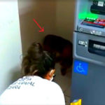 Anjing yang Sedih Masih Berada di Rumah Sakit dan Menolak Pergi 3