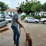 Anjing yang Sedih Masih Berada di Rumah Sakit dan Menolak Pergi 5