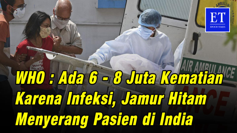WHO: Ada 6 – 8 Juta Kematian Karena Infeksi Jamur Hitam di India