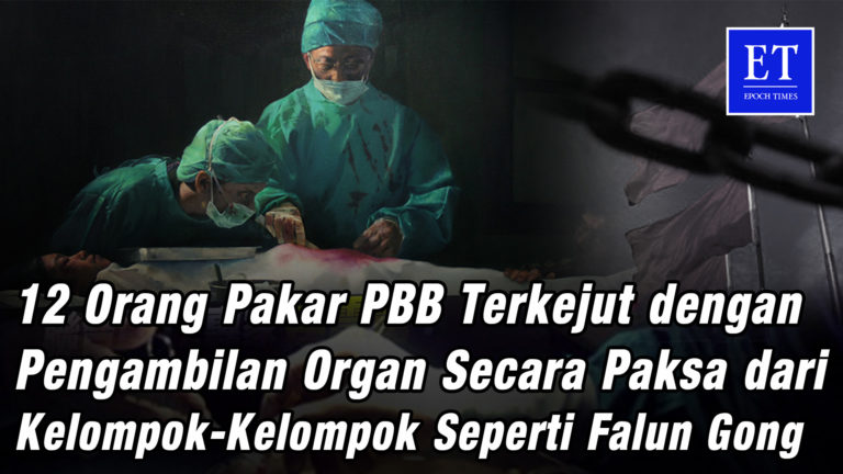 12 Orang Pakar PBB Terkejut dengan Pengambilan Organ Secara Paksa dari Kelompok-Kelompok Minoritas