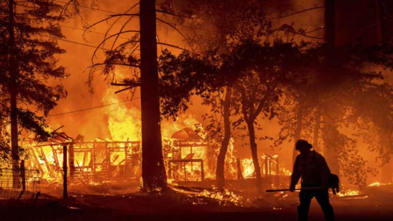 Kebakaran Hutan Membesar Hingga ke Belasan Negara Bagian di Barat AS, California dan Oregon Berjibaku Memadamkan Kobaran Api