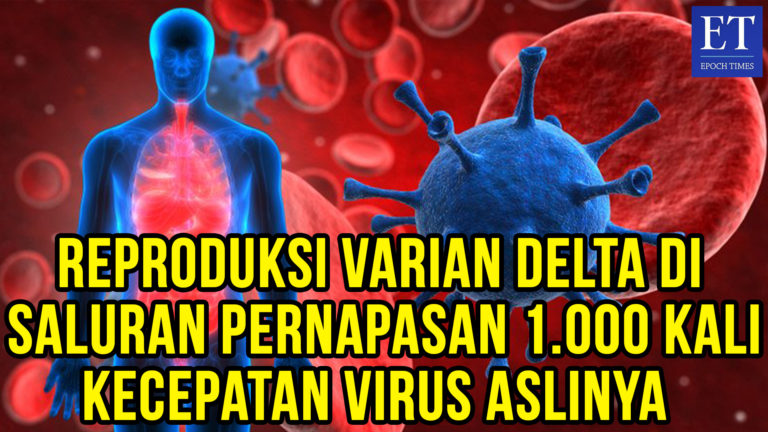 Reproduksi Varian Delta di Saluran Pernapasan 1.000 Kali Kecepatan Virus Aslinya