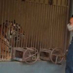 Anies-dan-HARIMAU-1