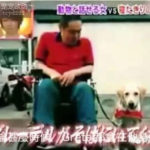 Anjing-Pemandu-Berusia-17-Tahun-Ini-Selalu-Menyalak-Tanpa-Sebab1