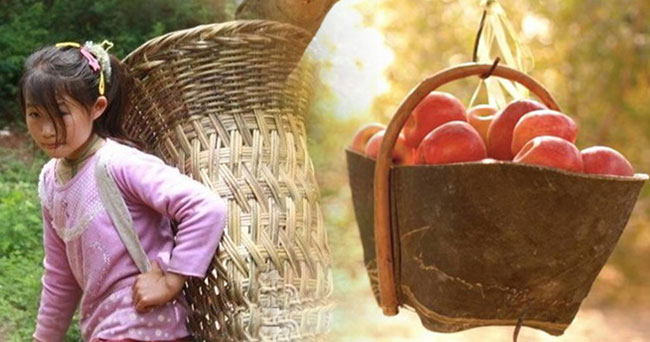 Apel Seharga Rp 10 Ribu Dijual oleh Gadis Cilik Seharga Rp 60 Ribu Rupiah, Pria yang Membelinya Ikhlas Setelah Tahu Sebabnya!